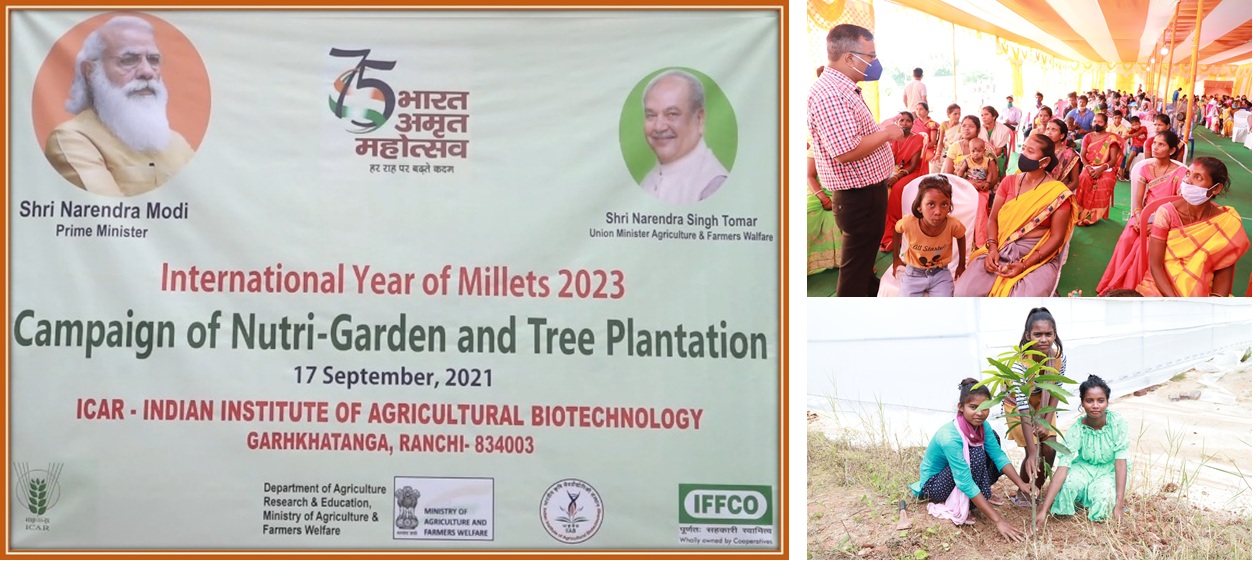 IIAB Organized Poshan Vatika Maha Abhiyan & Tree Plantation Program